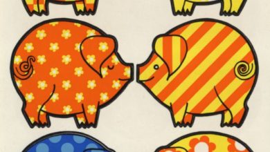 Tutti i colori del maiale – Laboratorio didattico gratuito